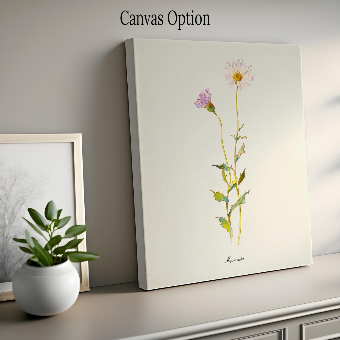 Mojave Aster, Xylorhiza Tortifolia Art Print - Image 2