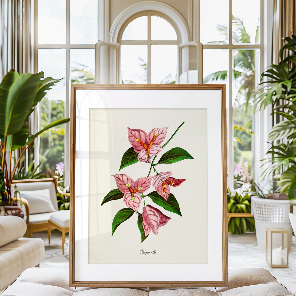 Bougainvillea Flower Botanical Wall Art Print - Image 3
