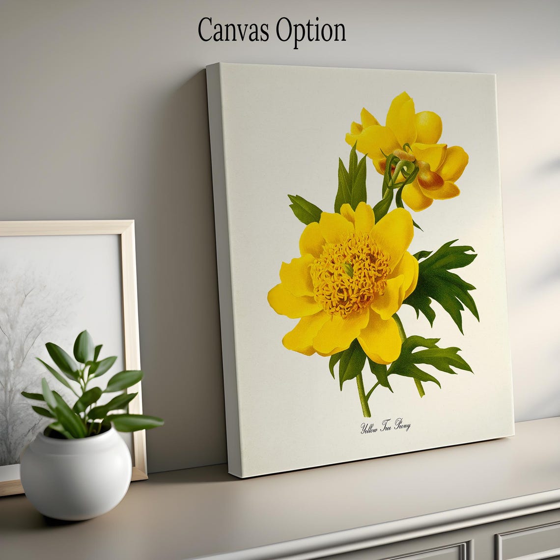 Yellow Tree Peony Botanical Art Print - Image 2