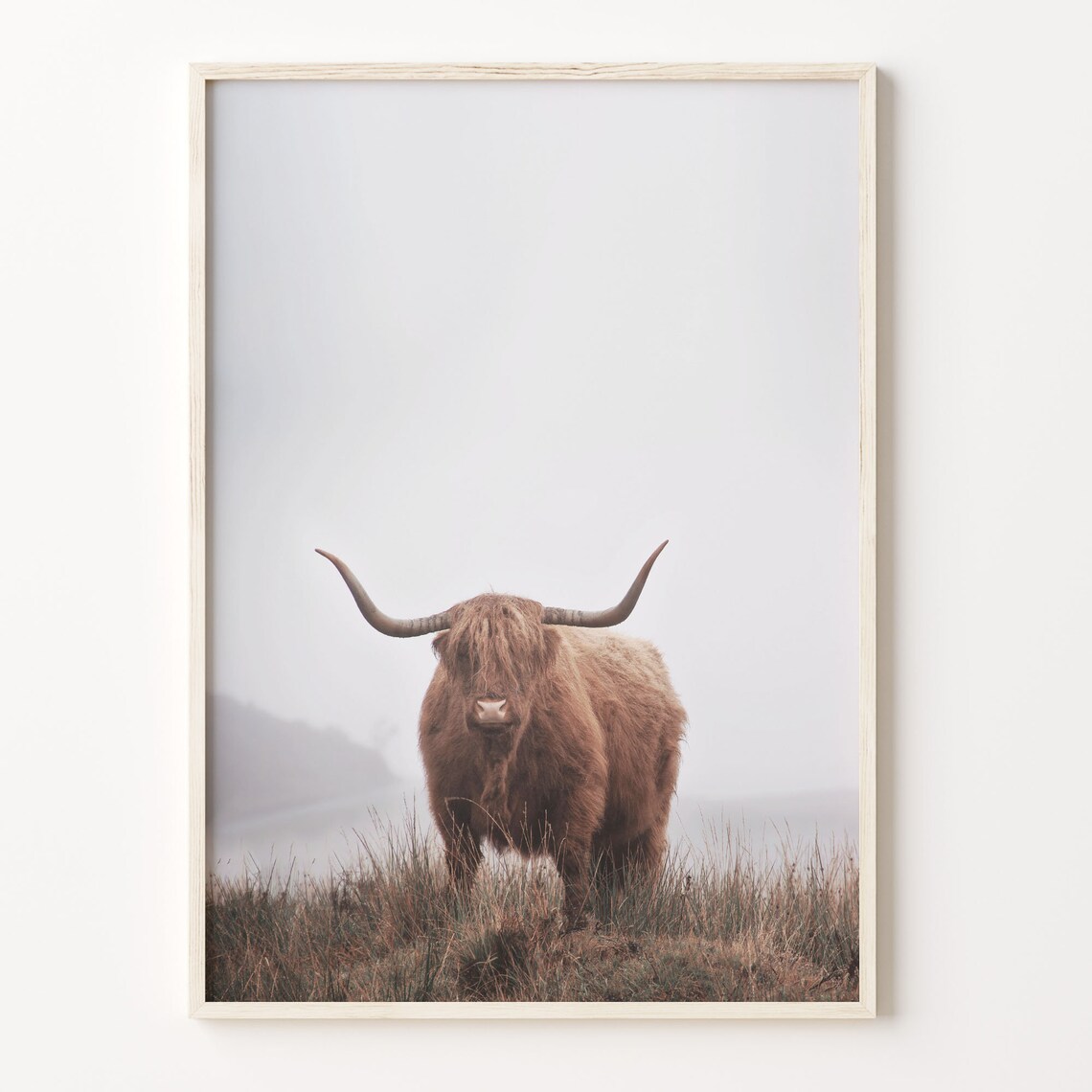 Single Highland Cow Standing In Misty Field At Dawn Photo Poster