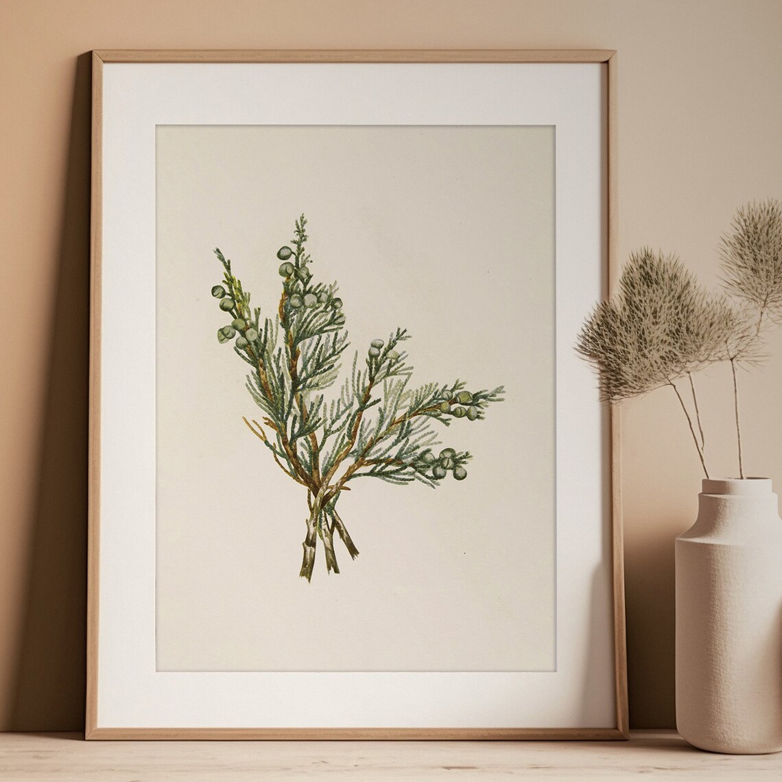 Juniper Branch Vintage Winter Botanical Art Print - Image 3