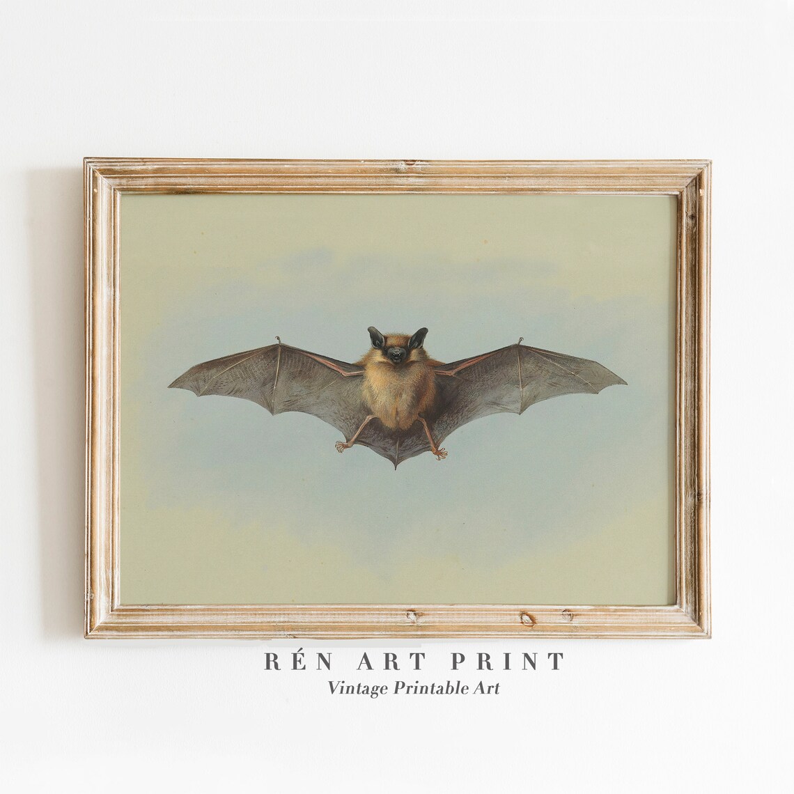 Vintage Bat Print, Antique Halloween Wall Art