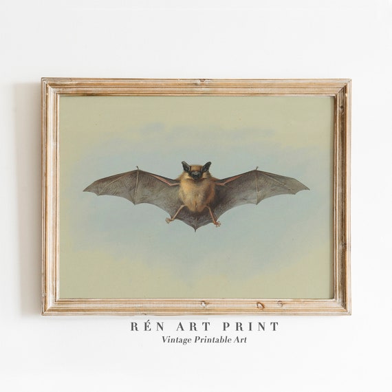 Vintage Bat Print, Antique Halloween Wall Art