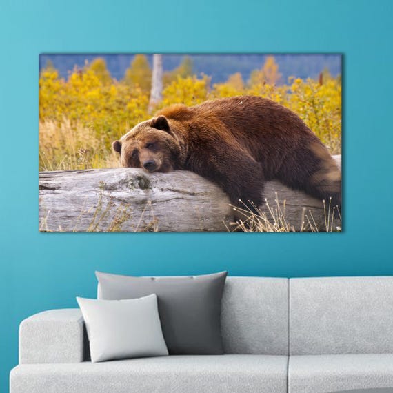 Lazy Bear Art Print, Funny Grizzly Cabin Decor