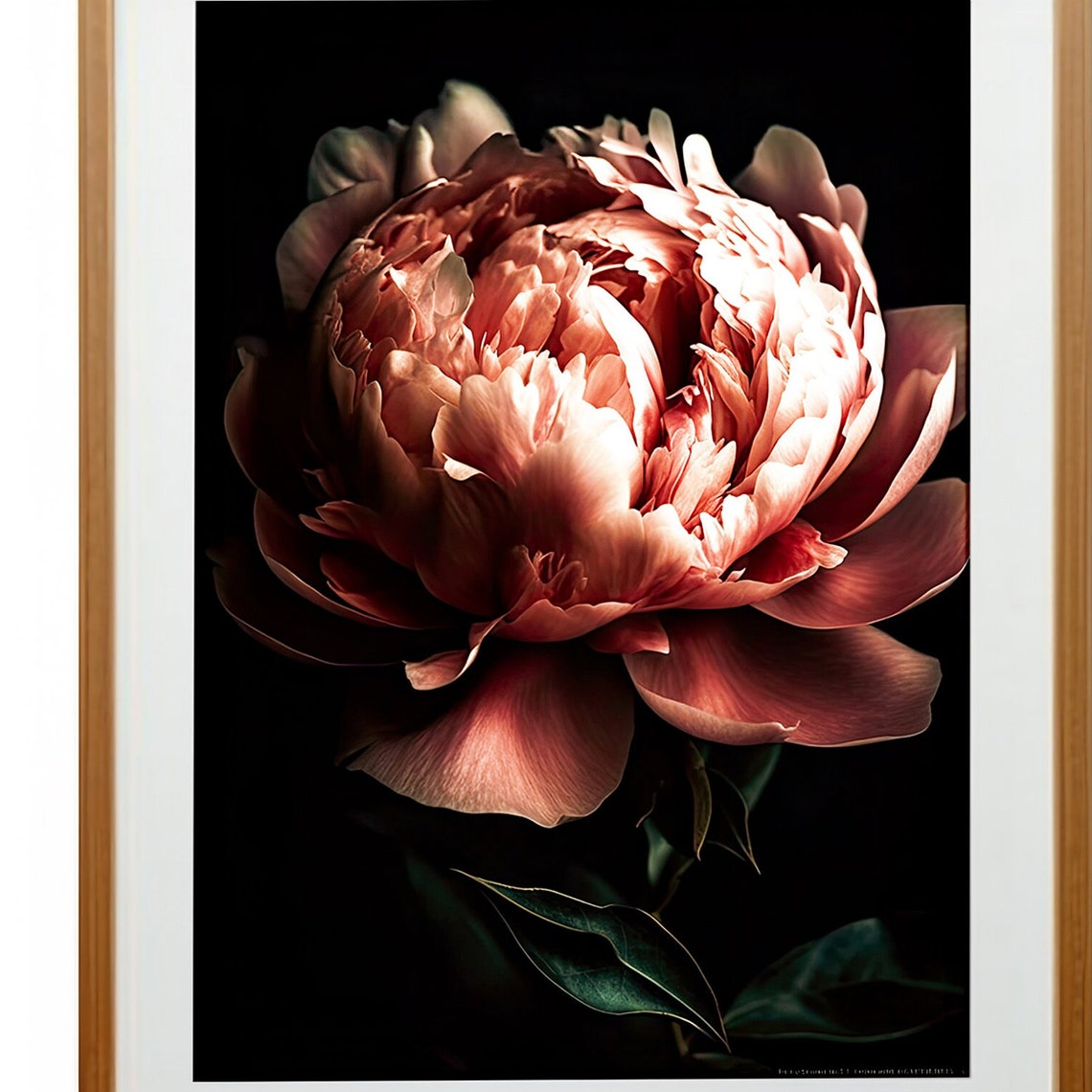 Dark Moody Peony Bloom Black Background Dark Academia Wall Art - Image 3