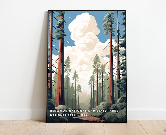 Redwood National Park USA Giant Tree Forest Vintage Landscape Poster