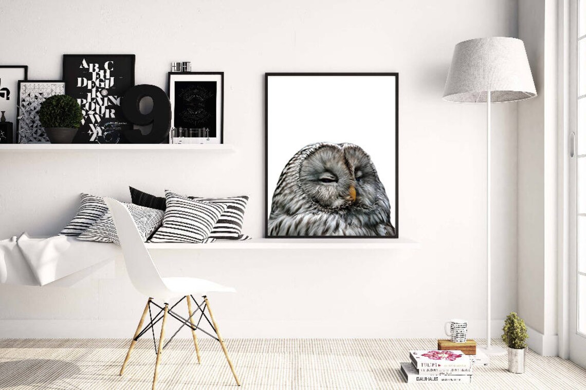 Sleepy Great Grey Owl Close Up Photograph Animal Portrait Poster - Image 3