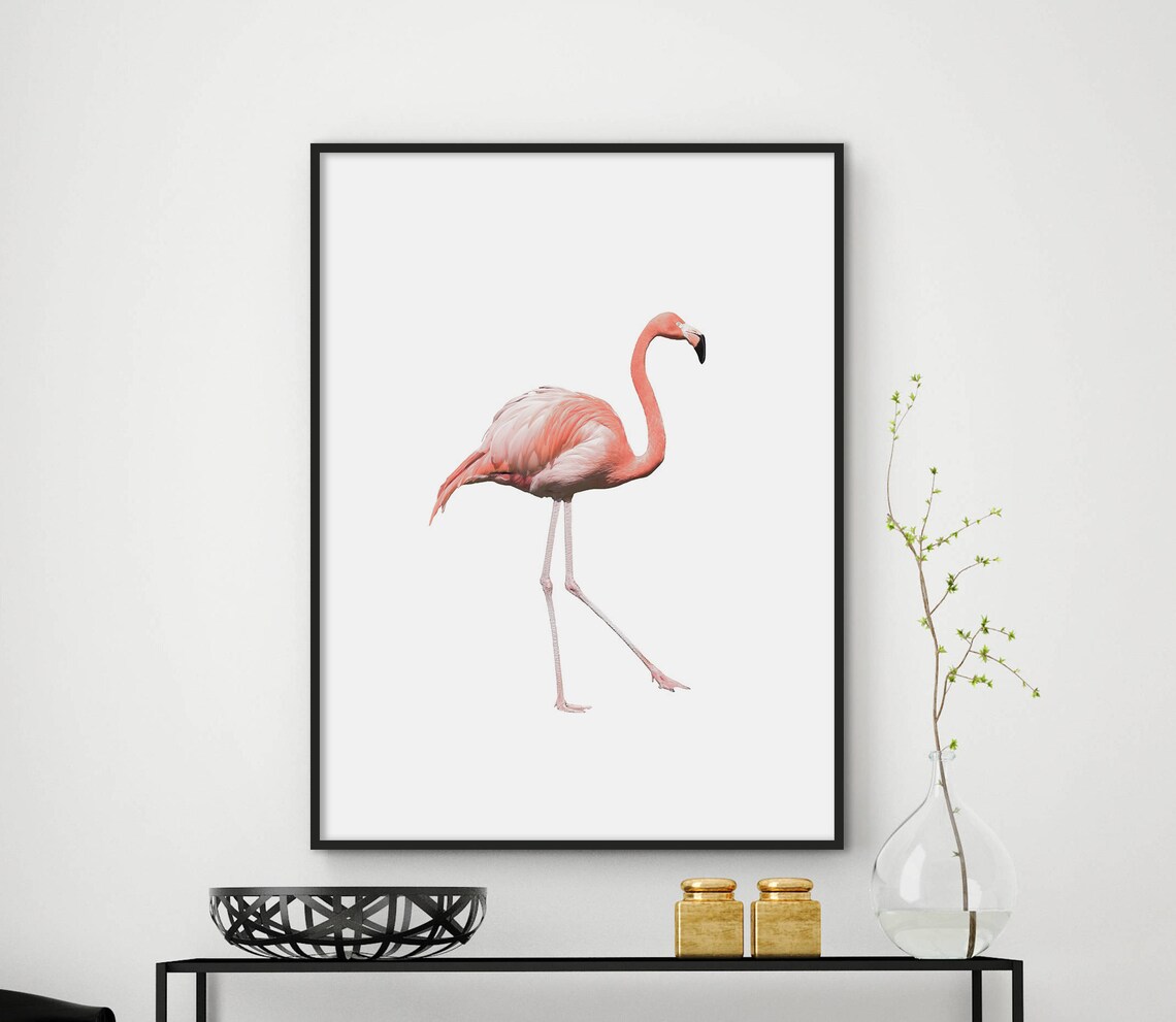 Pink Flamingo Standing Watercolor Minimal White Background Bird Poster