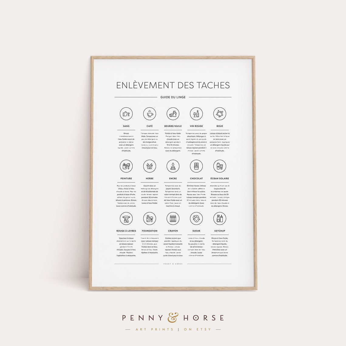 French Stain Removal Laundry Guide Illustrated Modern Wall Art