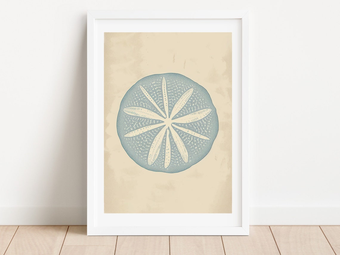 Vintage Sand Dollar Coastal Blue Beach Illustration Wall Poster