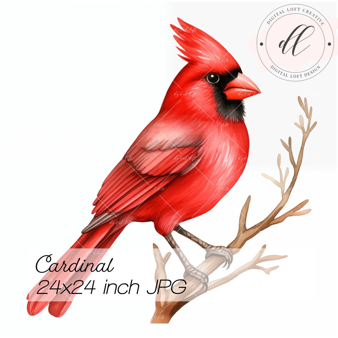 Watercolor Red Cardinal Bird on Branch Backyard Wildlife Poster Art