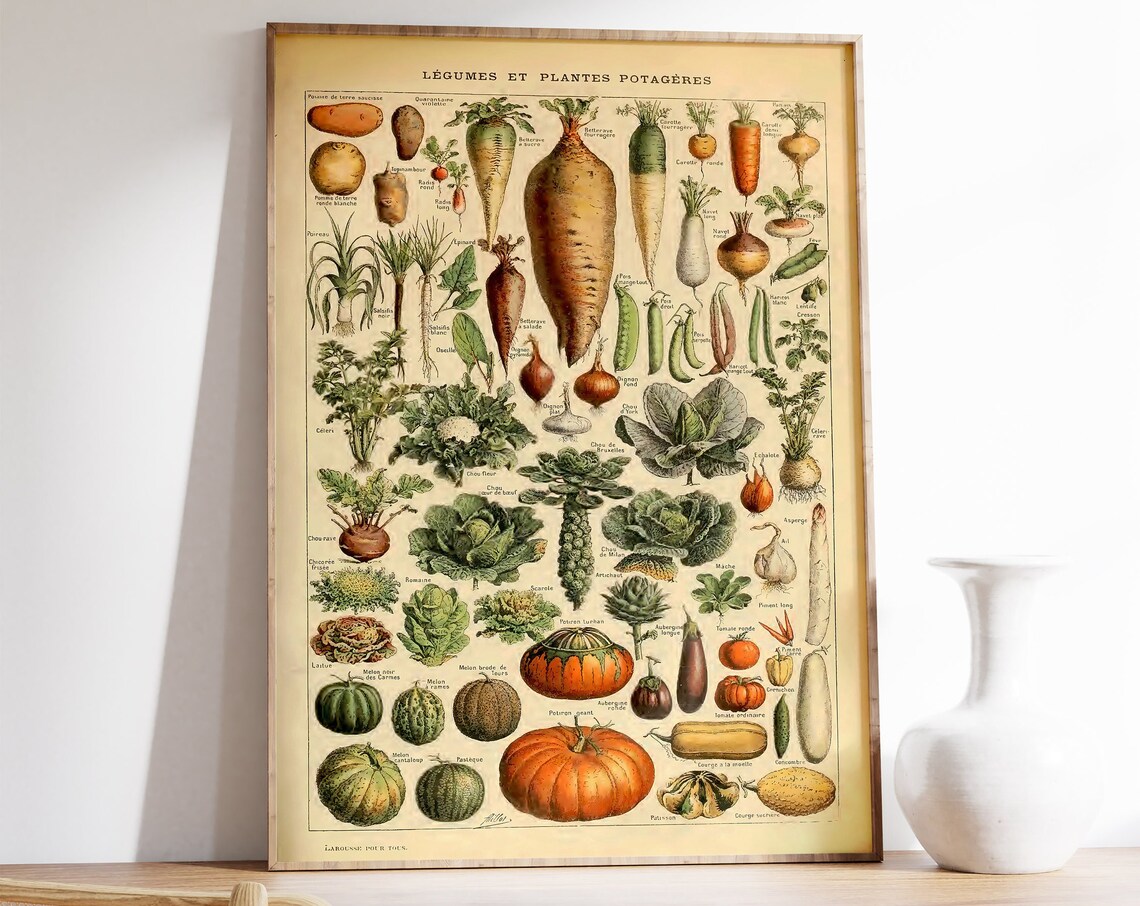 Adolphe Millot Botanical Vegetables Art Print, Kitchen