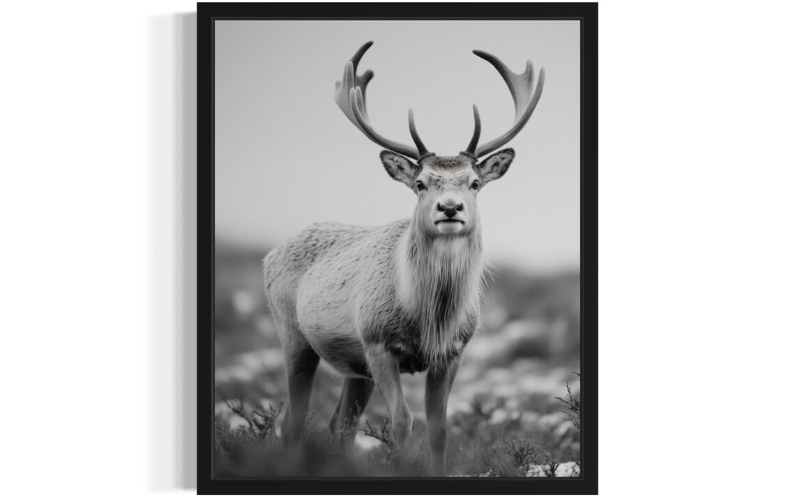 Stag with Grand Antlers Monochrome Wildlife Photography Decor Poster