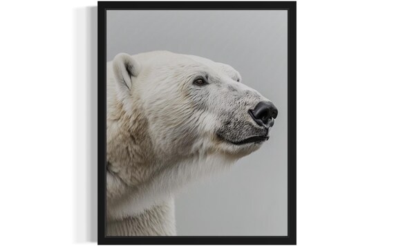 Polar Bear Profile Close-Up Wildlife Photography Decor Poster