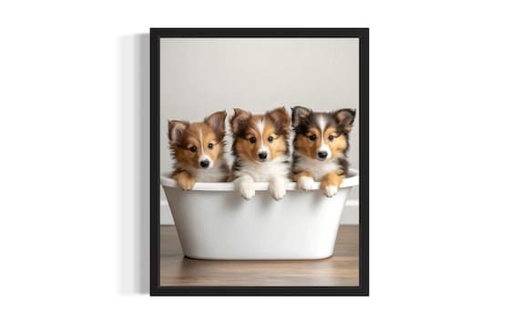 Three Shetland Sheepdog Puppies Bathing In A White Tub Cute Puppy Poster