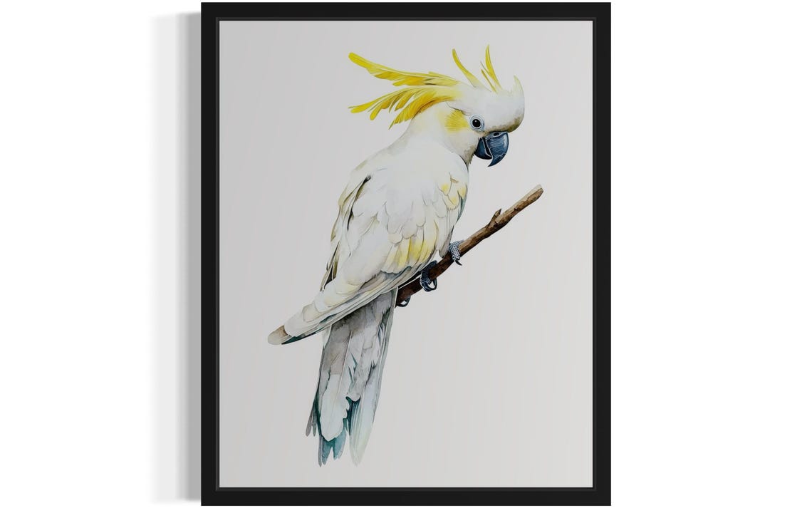 Sulphur-Crested Cockatoo Perched on Branch Watercolor Poster