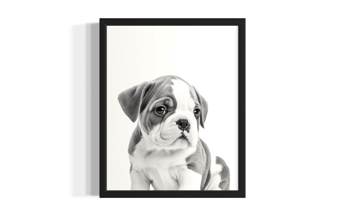 Cute Bulldog Puppy Black And White Studio Portrait Photo Poster