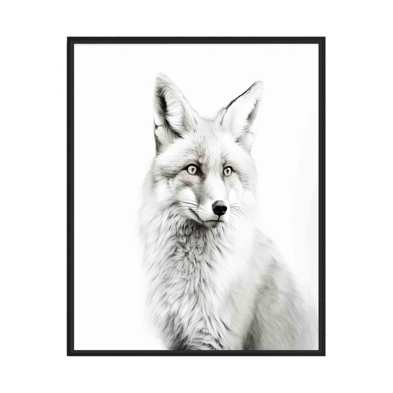 Fox Black and White Fluffy Front Facing Woodland Animal Portrait Poster