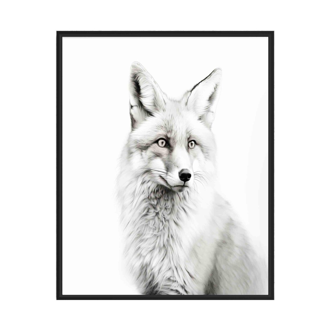 Fox Black and White Fluffy Front Facing Woodland Animal Portrait Poster