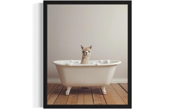 Alpaca In A Vintage White Clawfoot Bathtub Funny Animal Poster