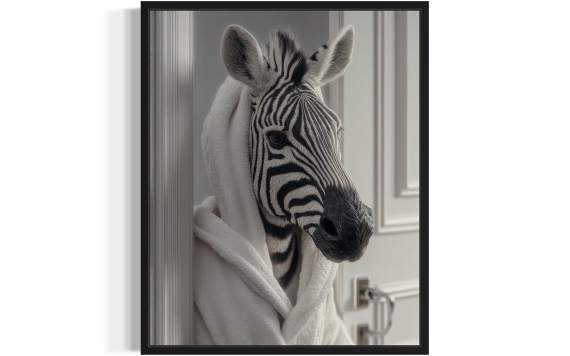 Funny Zebra Wrapped in a White Bathrobe Black and White Photo Poster