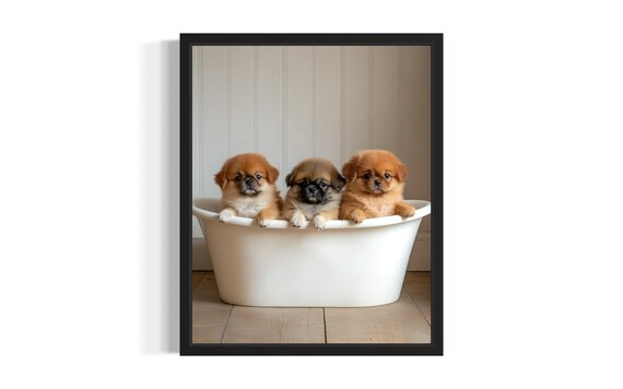 Three Pekingese Puppies in White Bathtub Cute Bathroom Wall Decor Poster