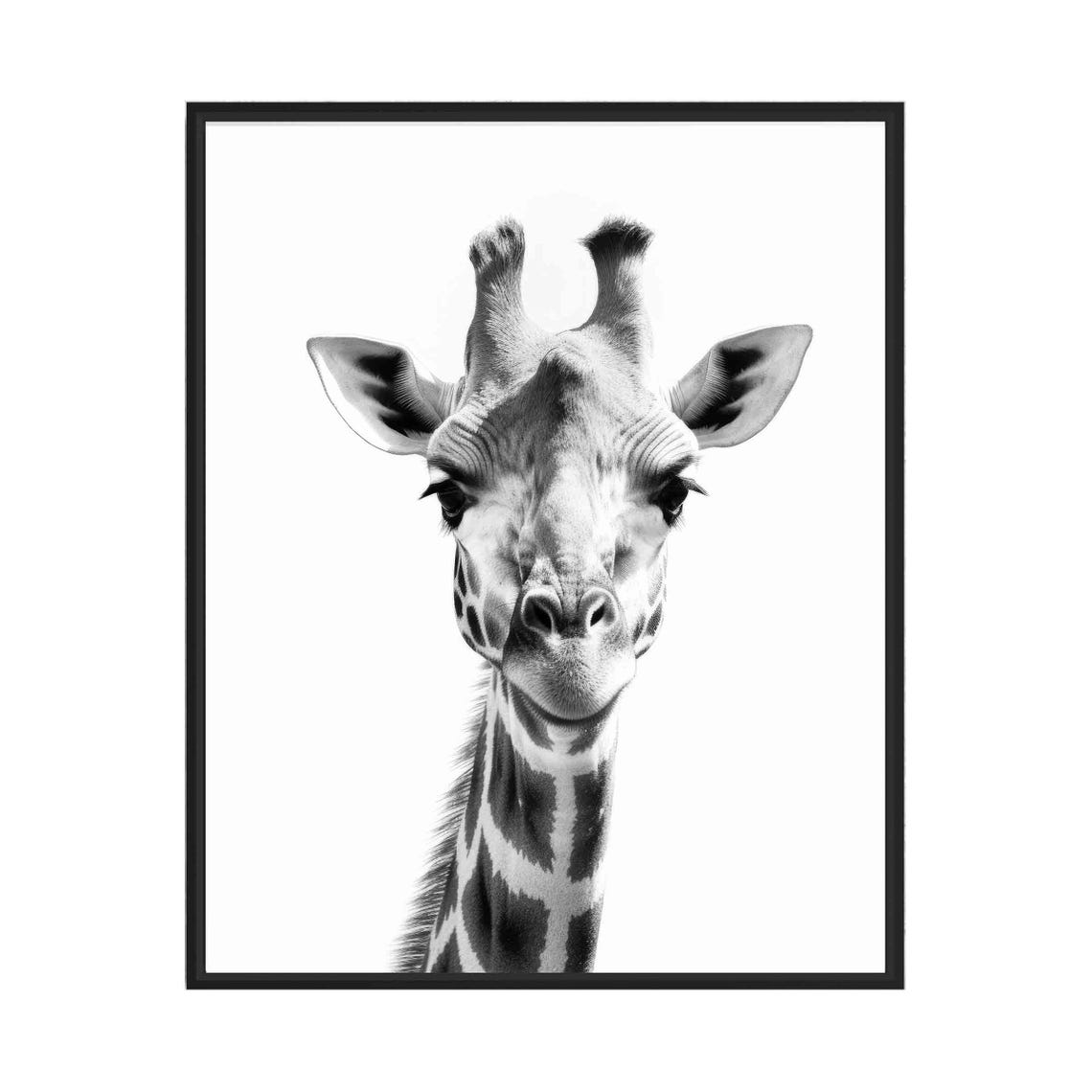 Giraffe Black and White Close Up Head Minimalist Wildlife Poster