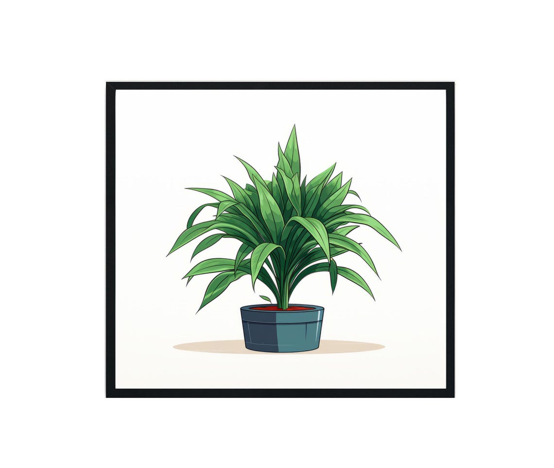 Dracaena Plants Art Print