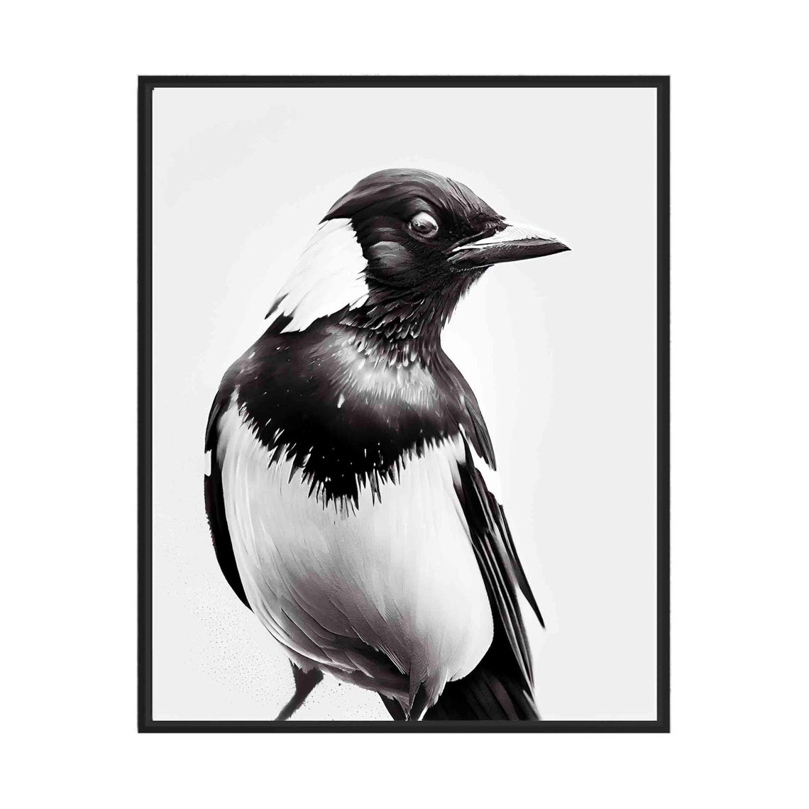 Bold Magpie Bird Portrait in Black and White Fine Art Poster