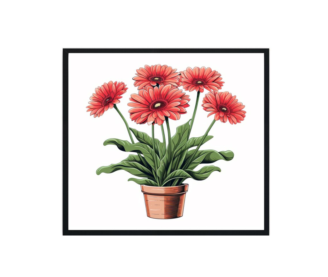 Gerbera Daisy Plant Coral Red Blooms Terracotta Pot Art Poster