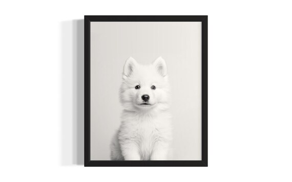 White Samoyed Puppy Portrait Minimalist Black and White Wall Poster