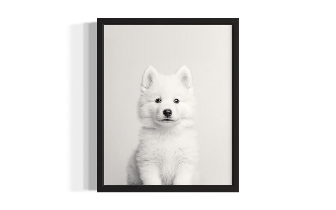 White Samoyed Puppy Portrait Minimalist Black and White Wall Poster
