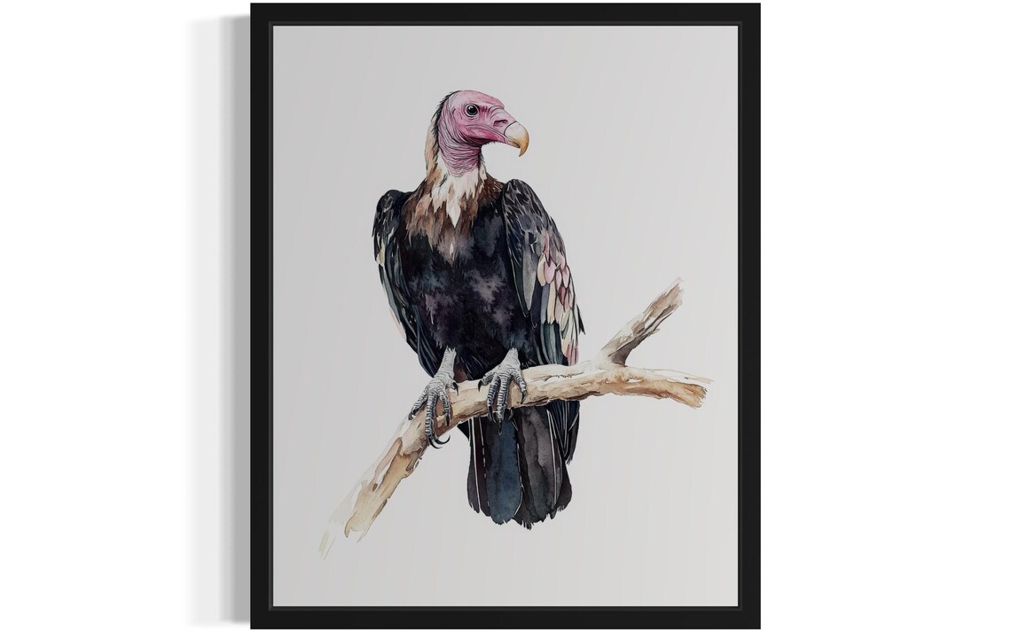 Red-Headed Vulture Watercolor Bird of Prey Perched on Branch Art Print