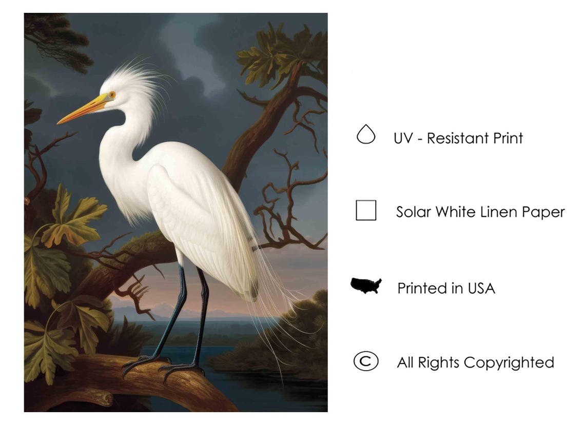 Great Egret Above Dark Water at Dusk Vintage Bird Art Poster - Image 4