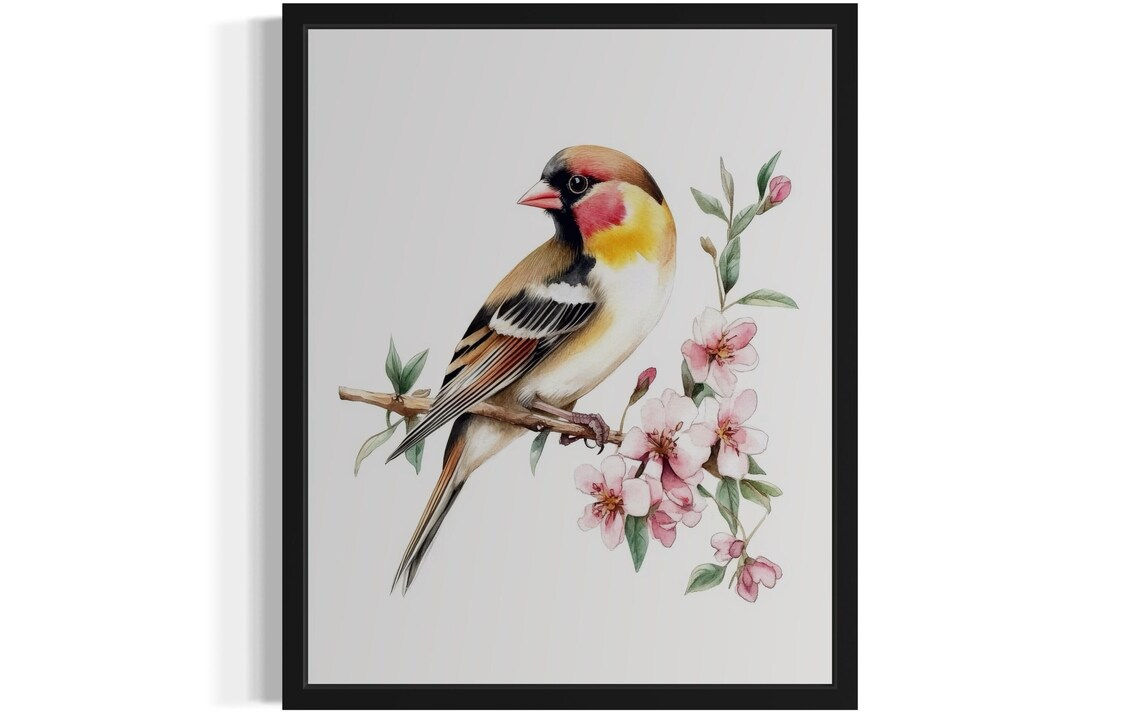 European Goldfinch Watercolor Cherry Blossom Bird Painting Poster