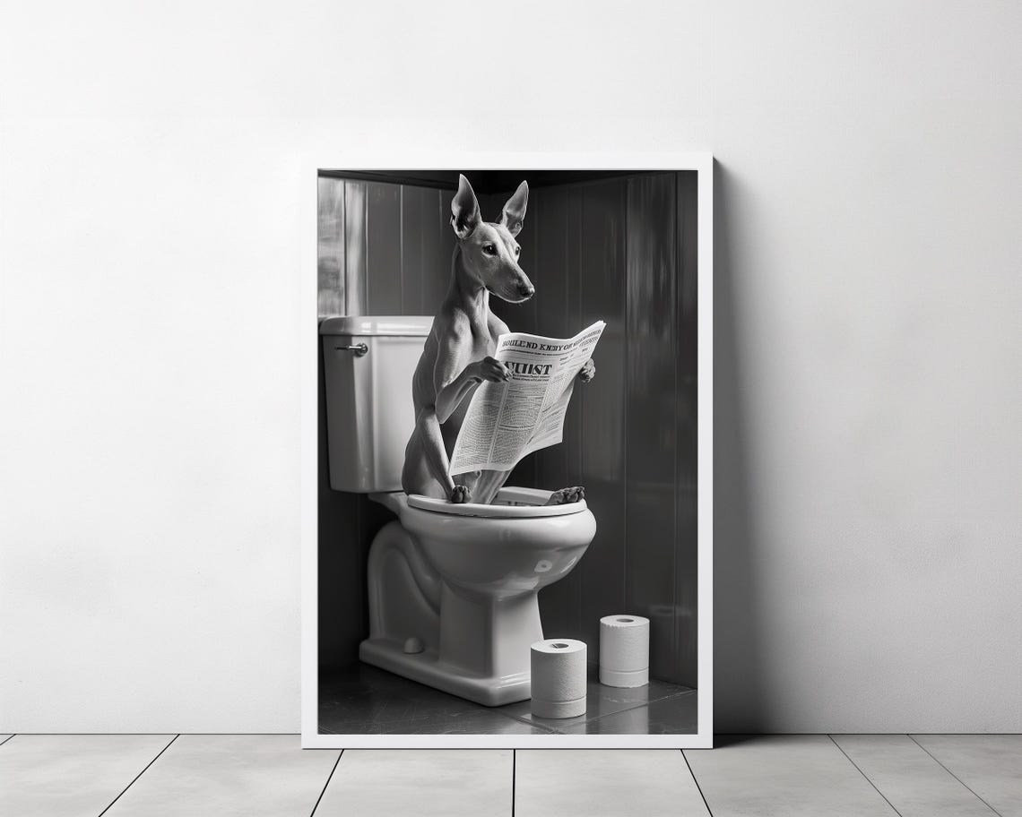 Greyhound Reading His Newspaper on the Toilet Funny Bathroom Poster - Image 3