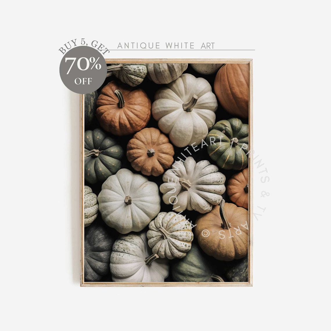 Heirloom Pumpkins Gourds Fall Harvest Overhead View Vintage Print