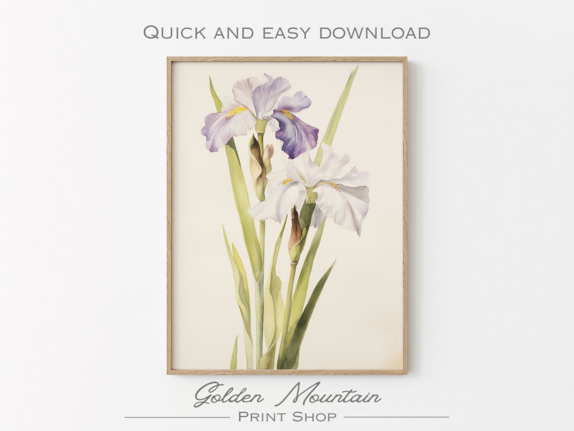 Purple White Iris Watercolor Floral Botanical Painting Poster - Image 3