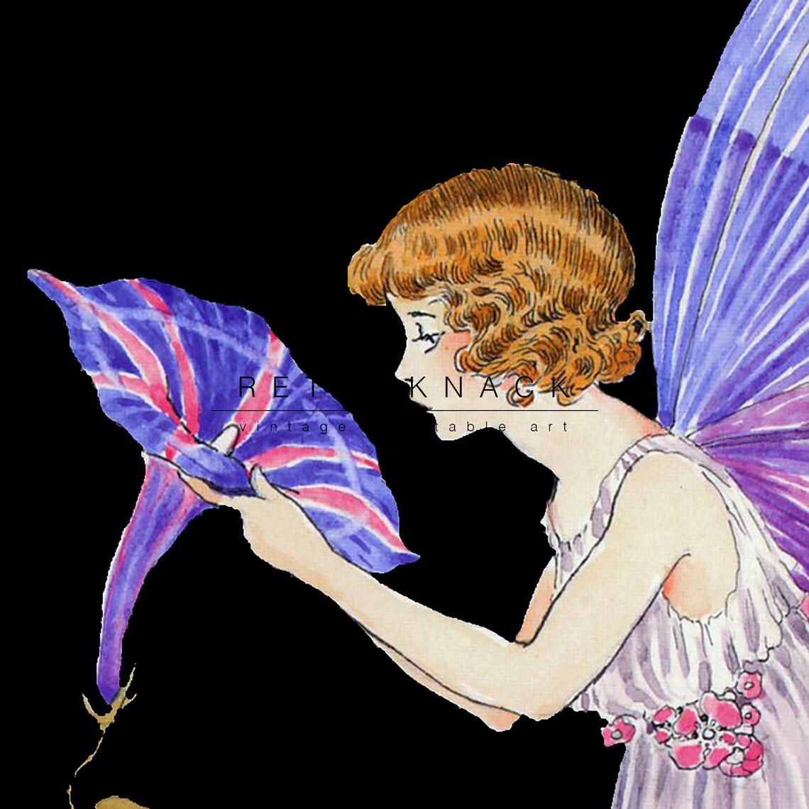 Ida Rentoul Outhwaite Morning Glory Fairy Black Background Floral Print - Image 2