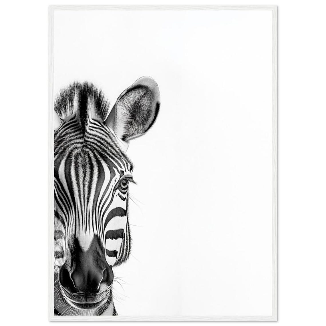Peeking Zebra Close-Up Black and White African Wildlife Poster - Image 3
