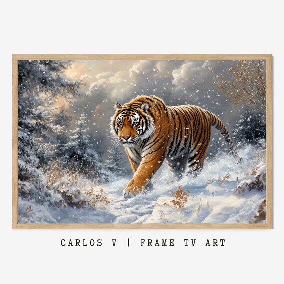 Tiger Running Through Deep Snow in Winter Forest Scene Poster