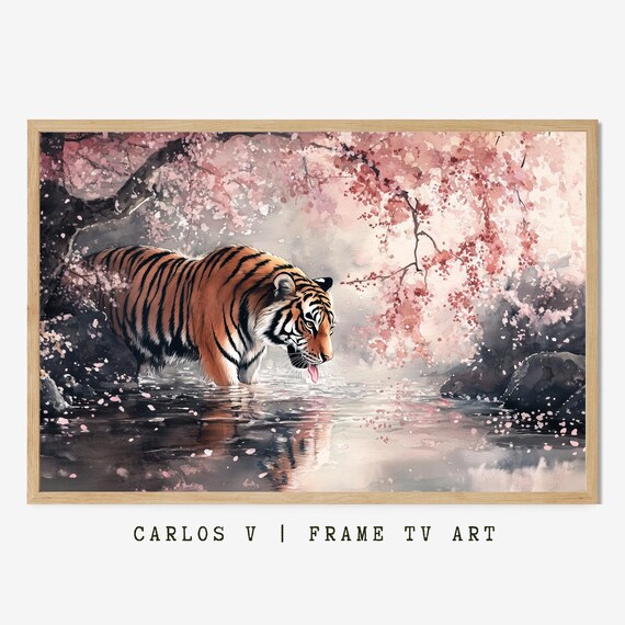 Tiger Drinking Water Beneath Pink Cherry Blossom Tree Poster