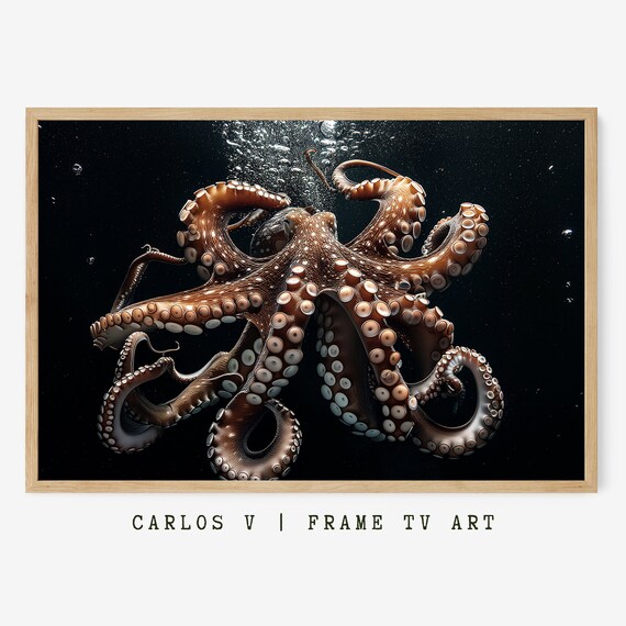 Coconut Octopus Frame Tv Art Animal Underwater Illustration Art Frame Tv Instant Aquatic Wildlife Display