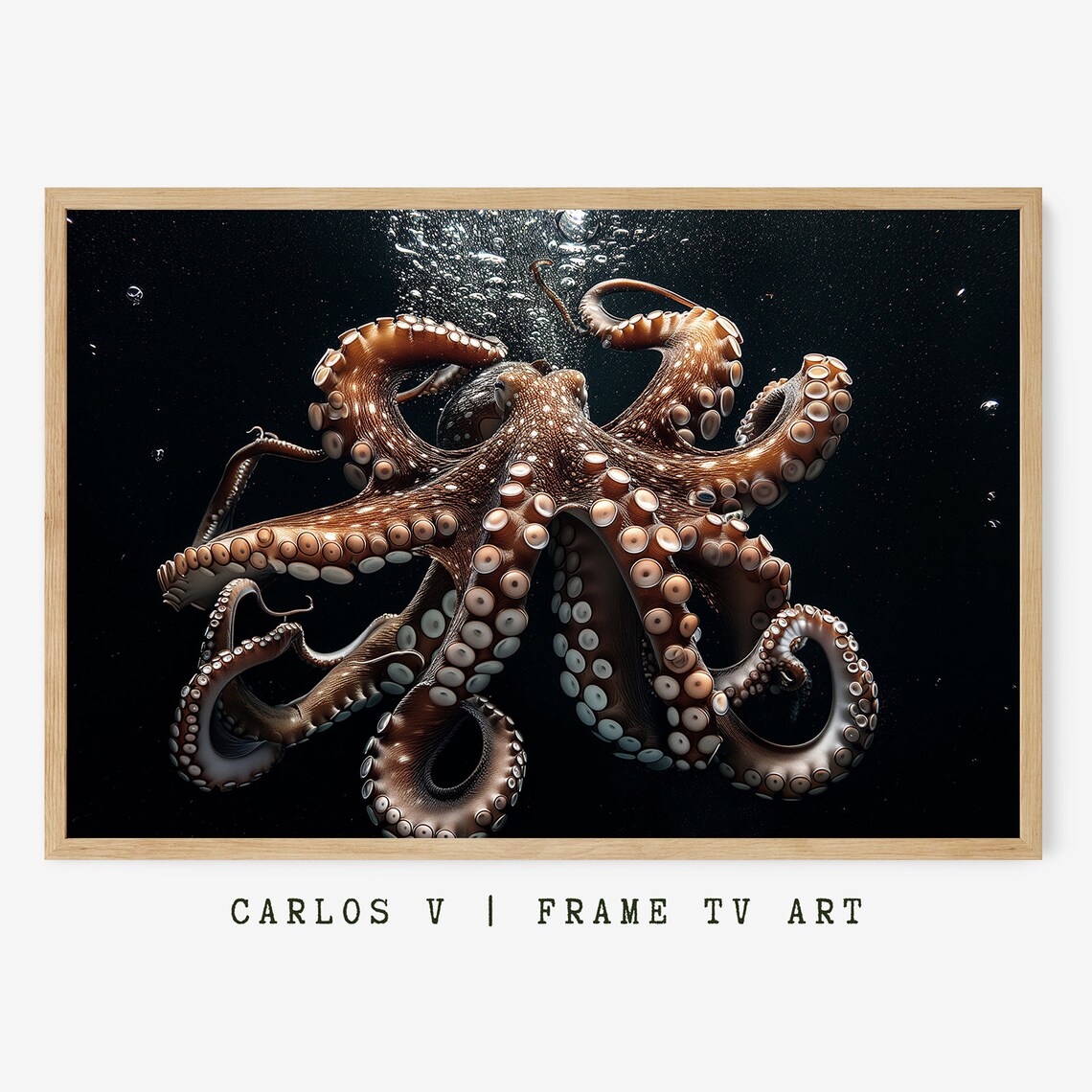 Coconut Octopus Frame Tv Art Animal Underwater Illustration Art Frame Tv Instant Aquatic Wildlife Display