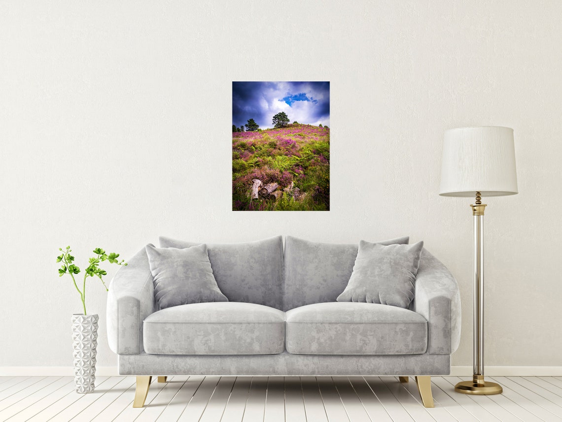 Purple Heather Dorset Heaths Blooming Hills Under Stormy Sky Poster - Image 2