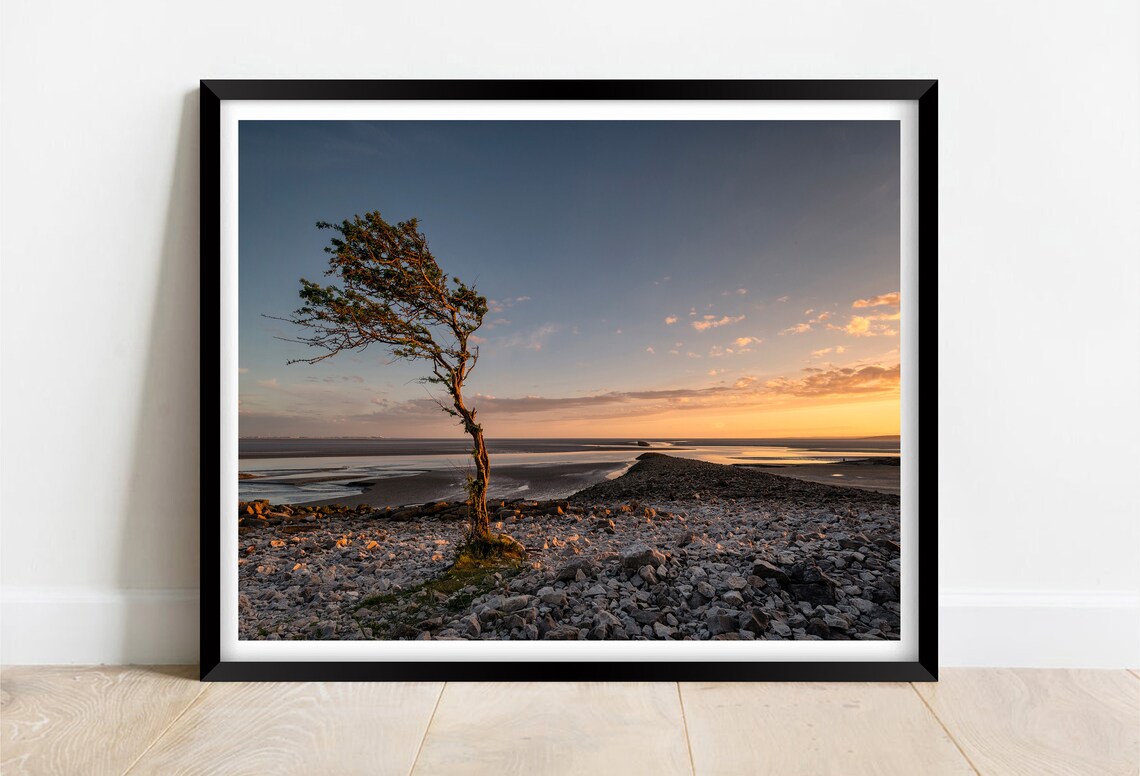 Jenny Browns Point Near Morecambe Lancashire Art Print