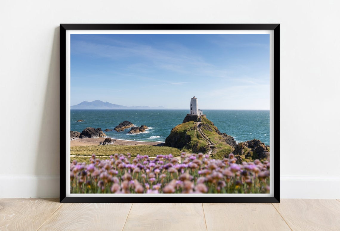 Llanddwyn Lighthouse White Tower And Pink Thrift Anglesey Poster