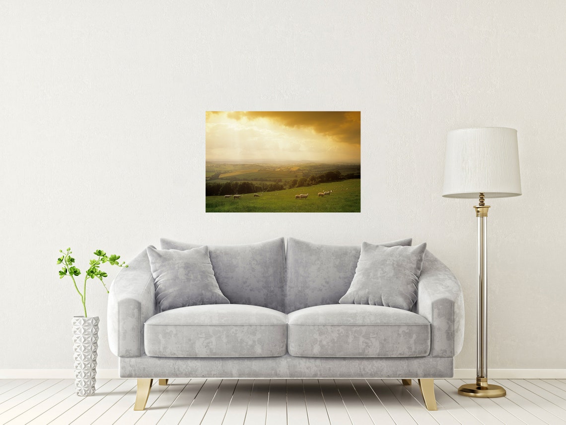Somerset Countryside Sheep Grazing Golden Sunset Fields Poster - Image 2