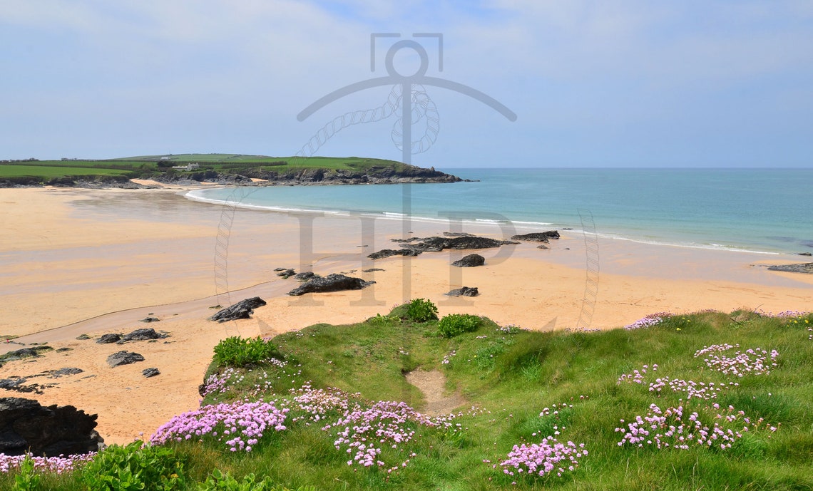 Harlyn Bay Cornwall Golden Beach Sea Thrift Wildflowers Poster - Image 3