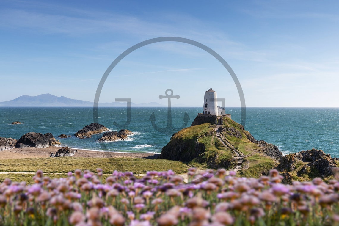 Llanddwyn Lighthouse White Tower And Pink Thrift Anglesey Poster - Image 3